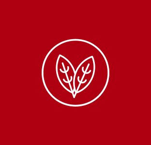 Vegan Icon